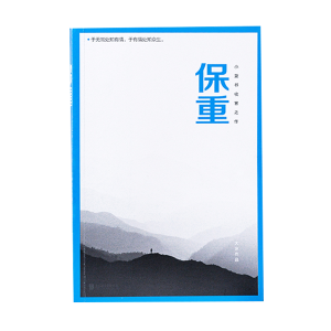 大冰散文作品集保重全新作品小蓝书系列收官之作啊2.0乖摸摸头小孩大冰作品集短篇小说故事集正版小说畅销书